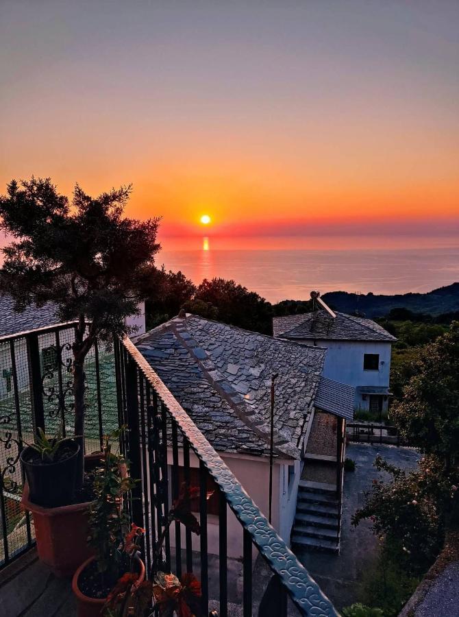 Guesthouse Papagiannopoulou Zagorá Kültér fotó