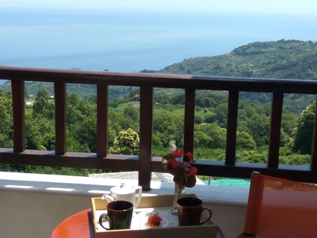 Guesthouse Papagiannopoulou Zagorá Kültér fotó