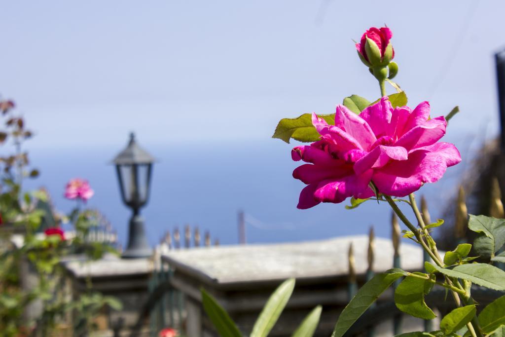 Guesthouse Papagiannopoulou Zagorá Kültér fotó