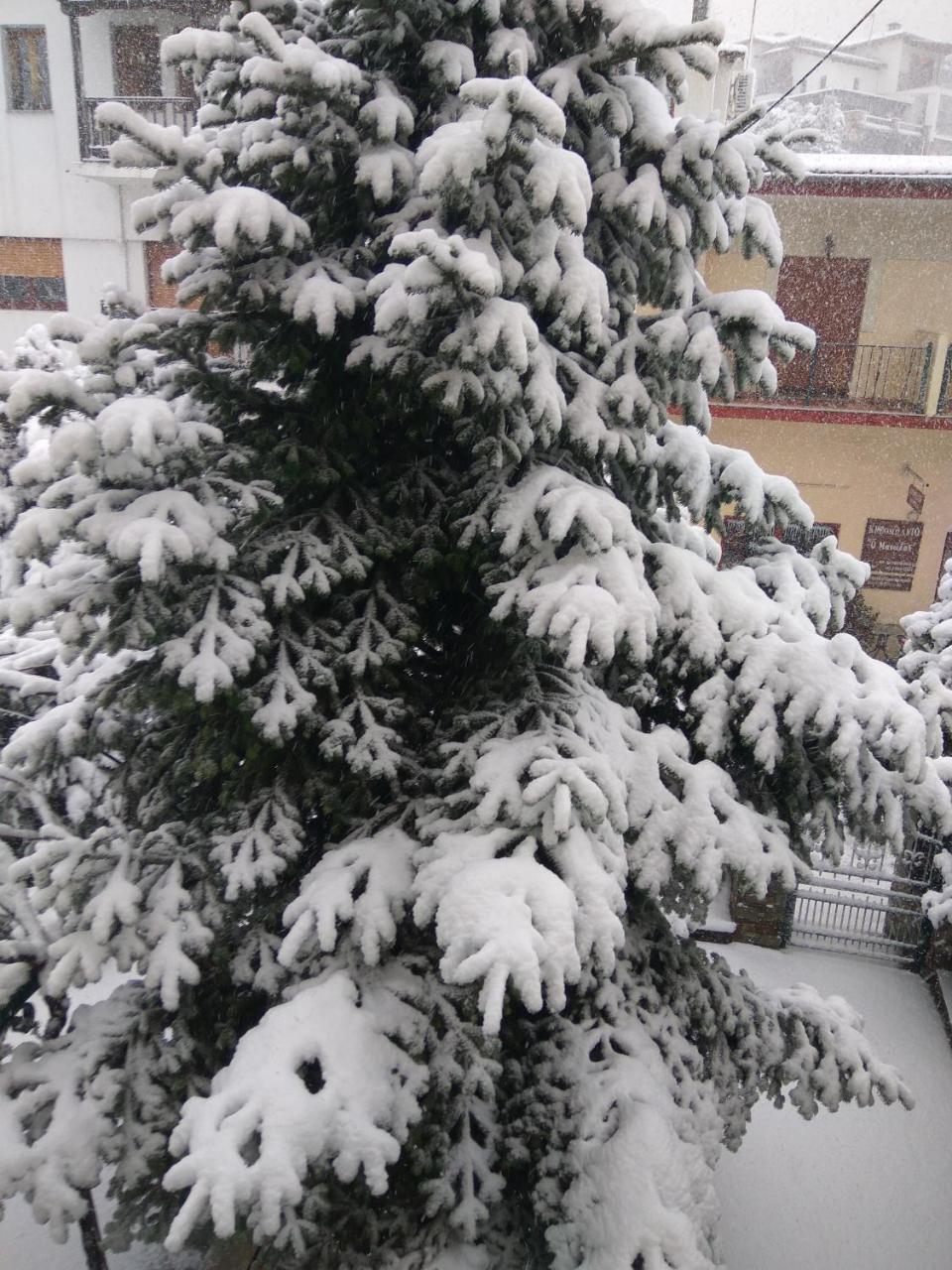 Guesthouse Papagiannopoulou Zagorá Kültér fotó